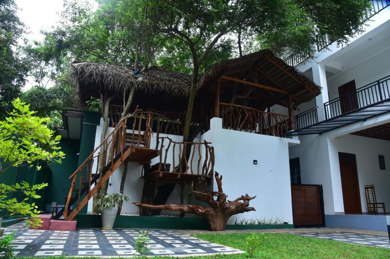 Hotel Eden Grand Dambulla Exteriér fotografie